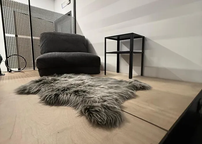 Old Town Loft 1